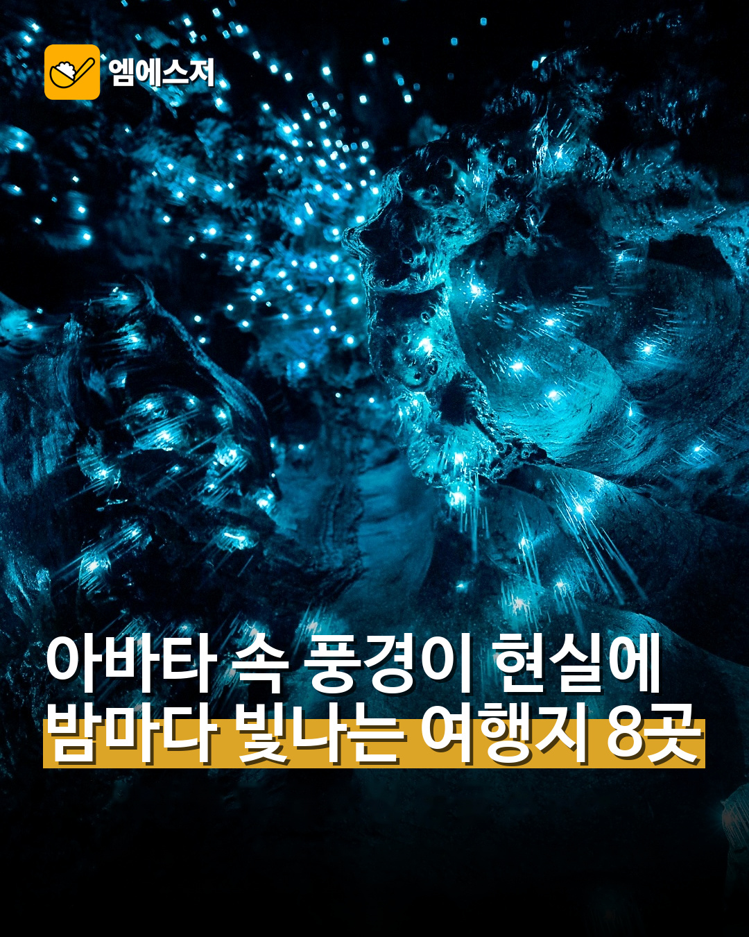 밤마다 빛나는 생물발광 여행지 8곳