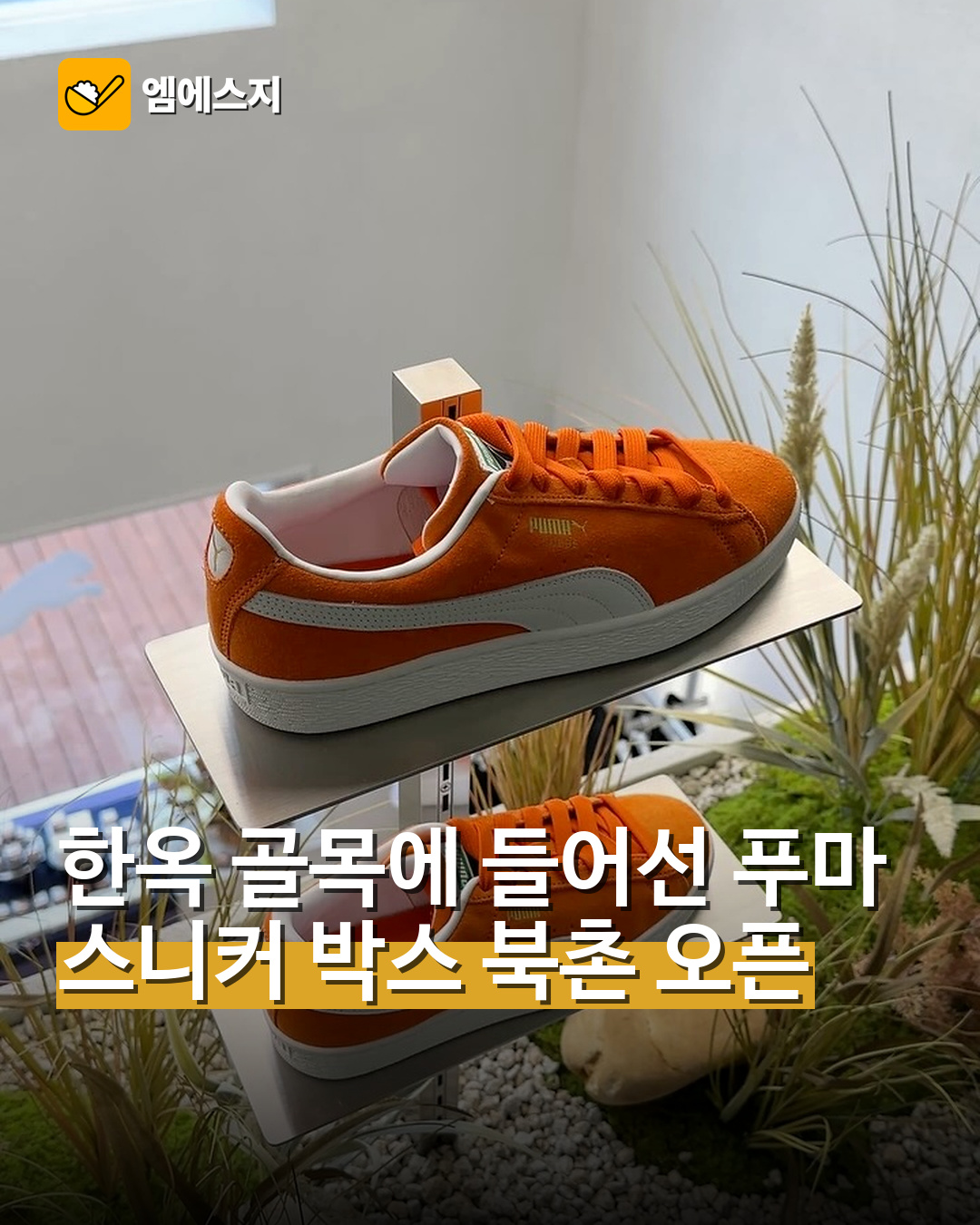 푸마 스니커 박스 북촌 오픈