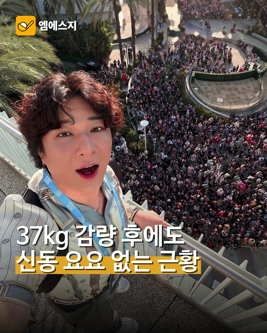 msg 834 001