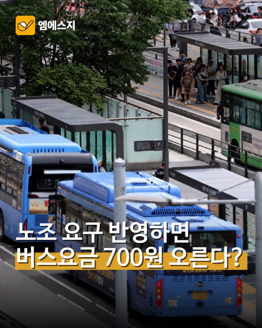 msg 848 001