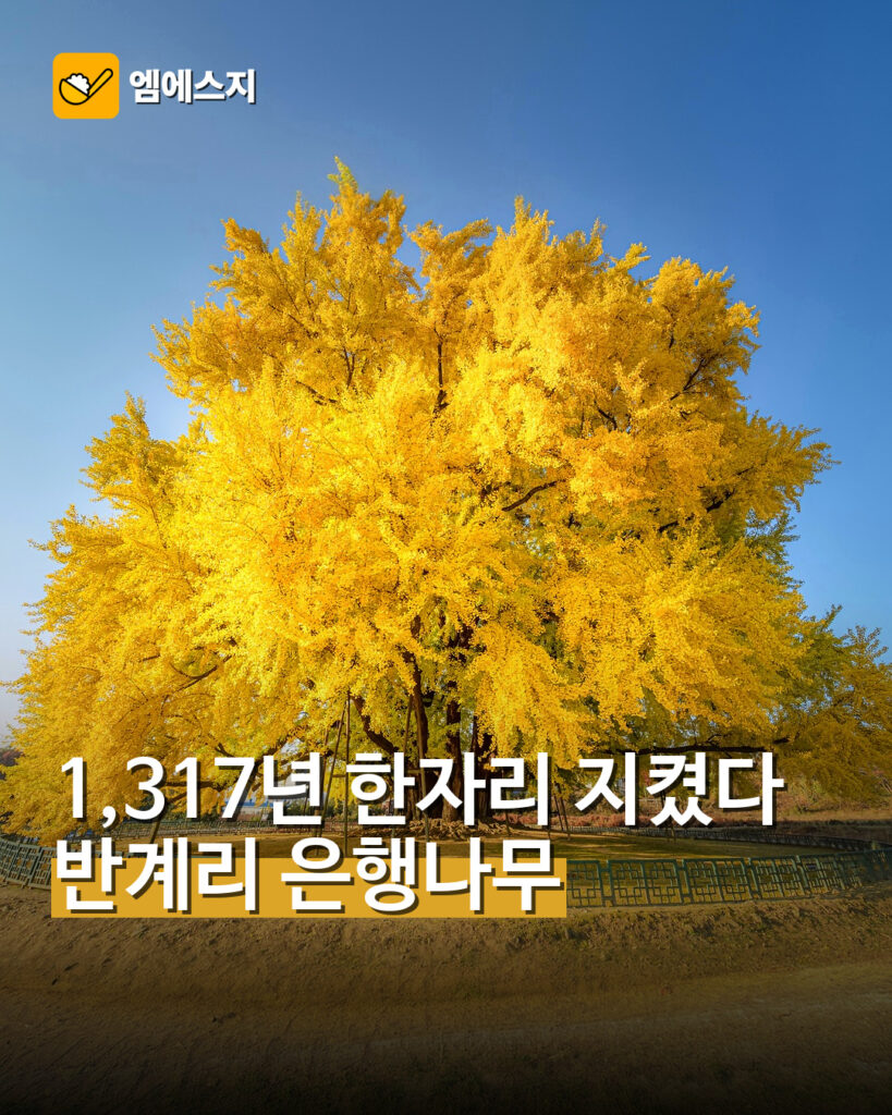msg 878 001