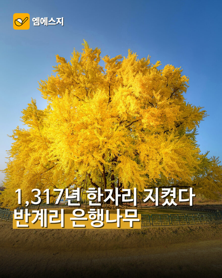 msg 878 001