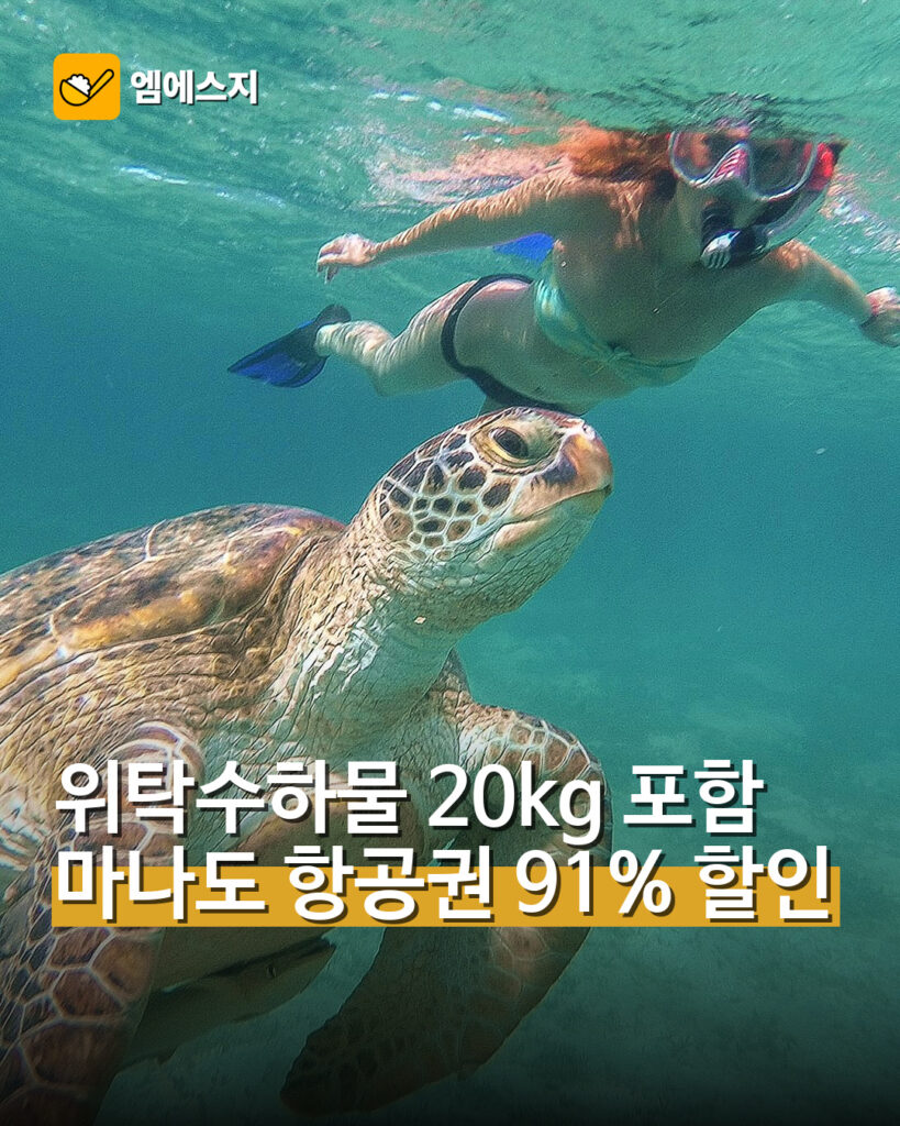 이스타항공 인천~마나도 91% 특가