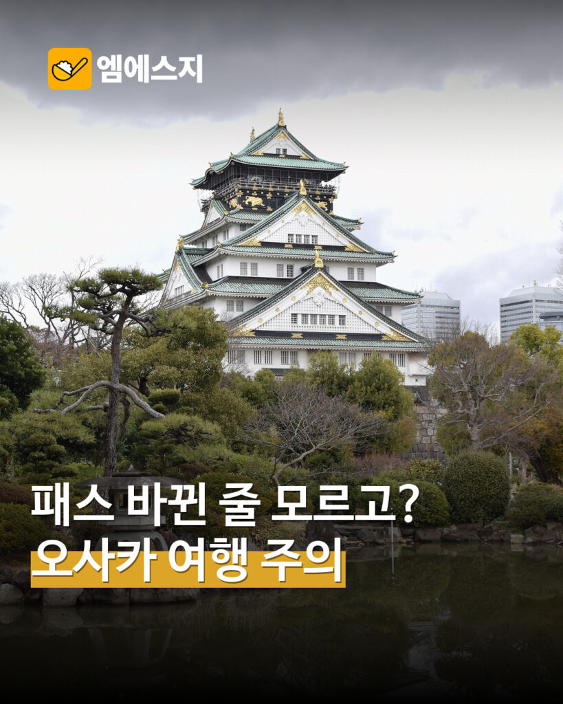 오사카 교통패스 10월 변경 안내 MSG뉴스 표지