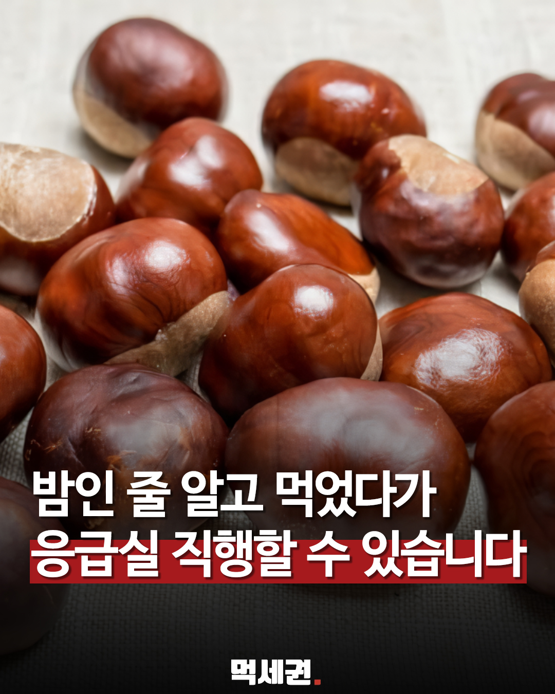 밤과 닮은 마로니에 열매 섭취 주의를 알리는 먹세권 표지
