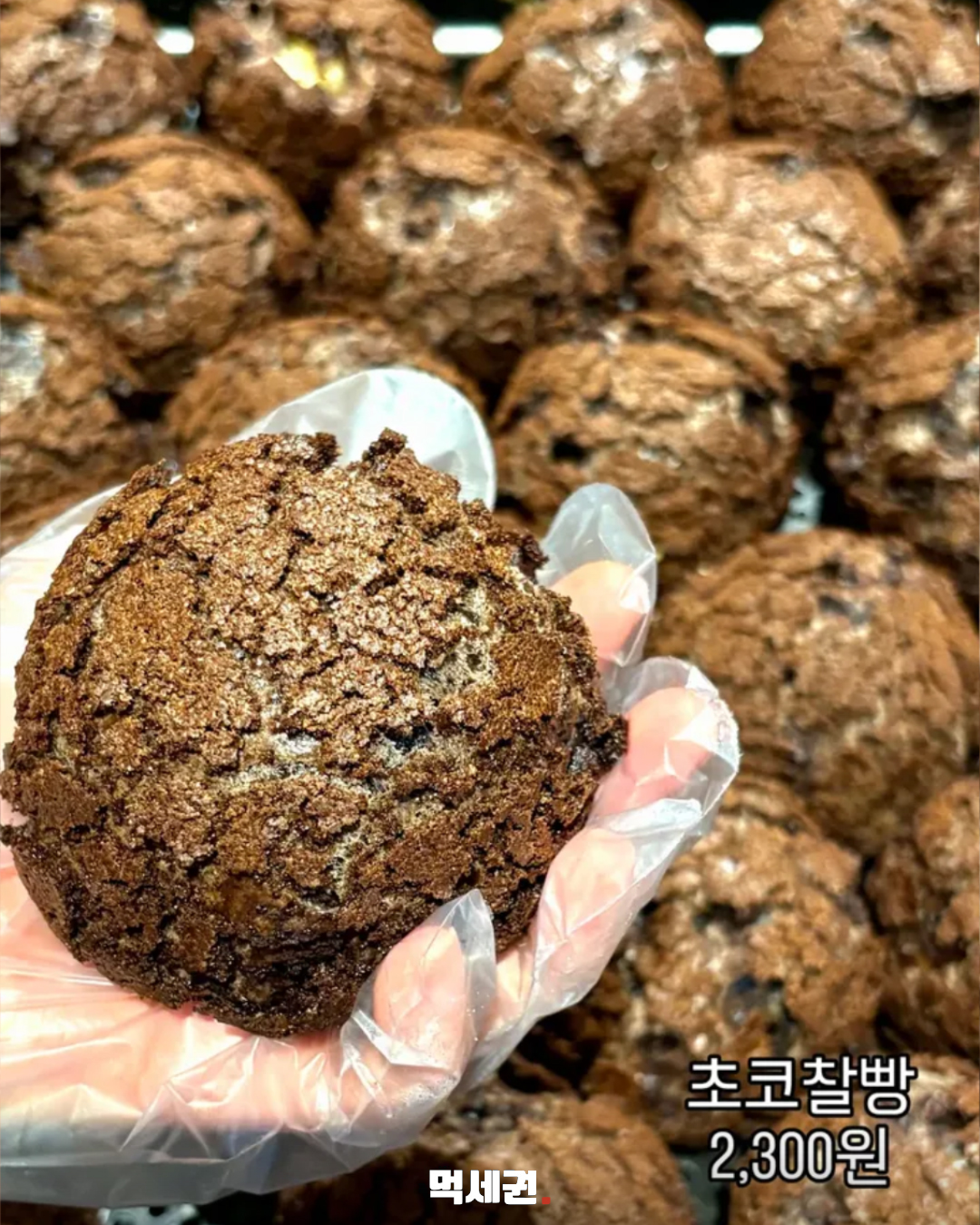 초코튀소부터 초코버터바게트까지…성심당 초코빵 8종 8 성심당 초코찰빵과 사진 안내 가격 2300원