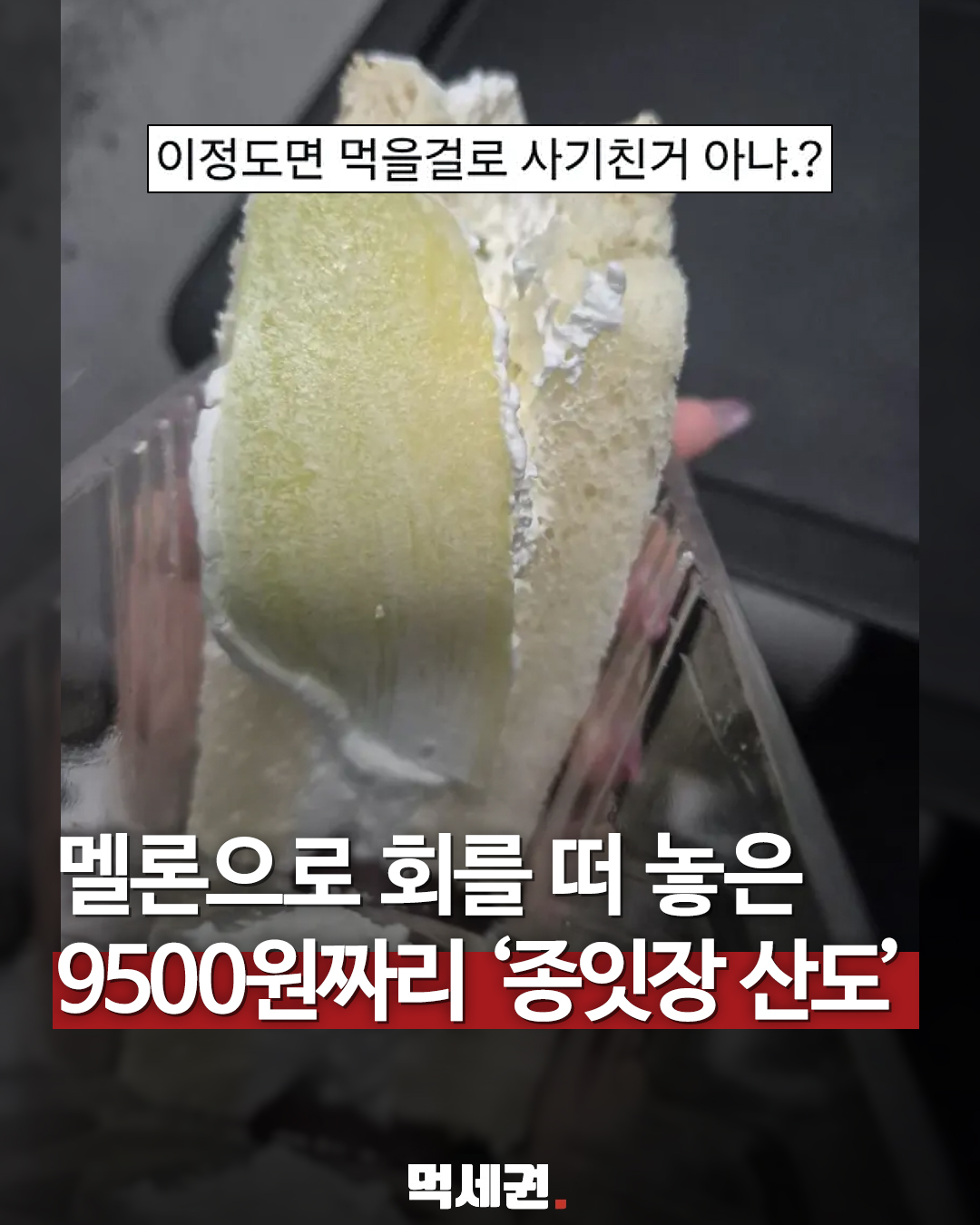 구매자가 공개한 9500원 멜론 산도 사진을 담은 먹세권 표지