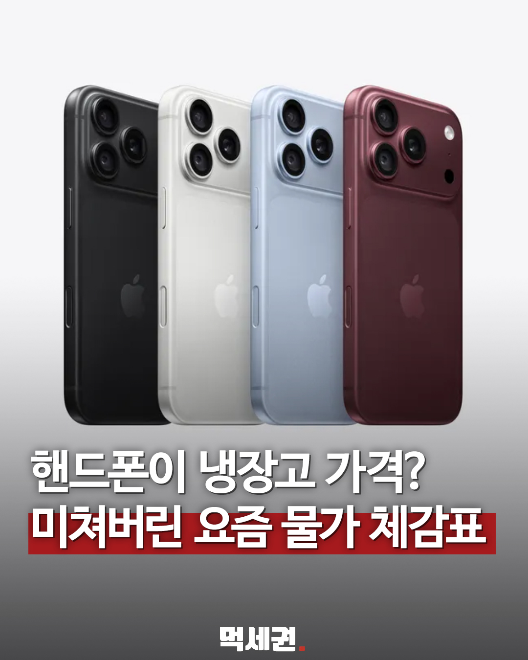 생활 소비 품목을 비교한 물가 체감표 표지