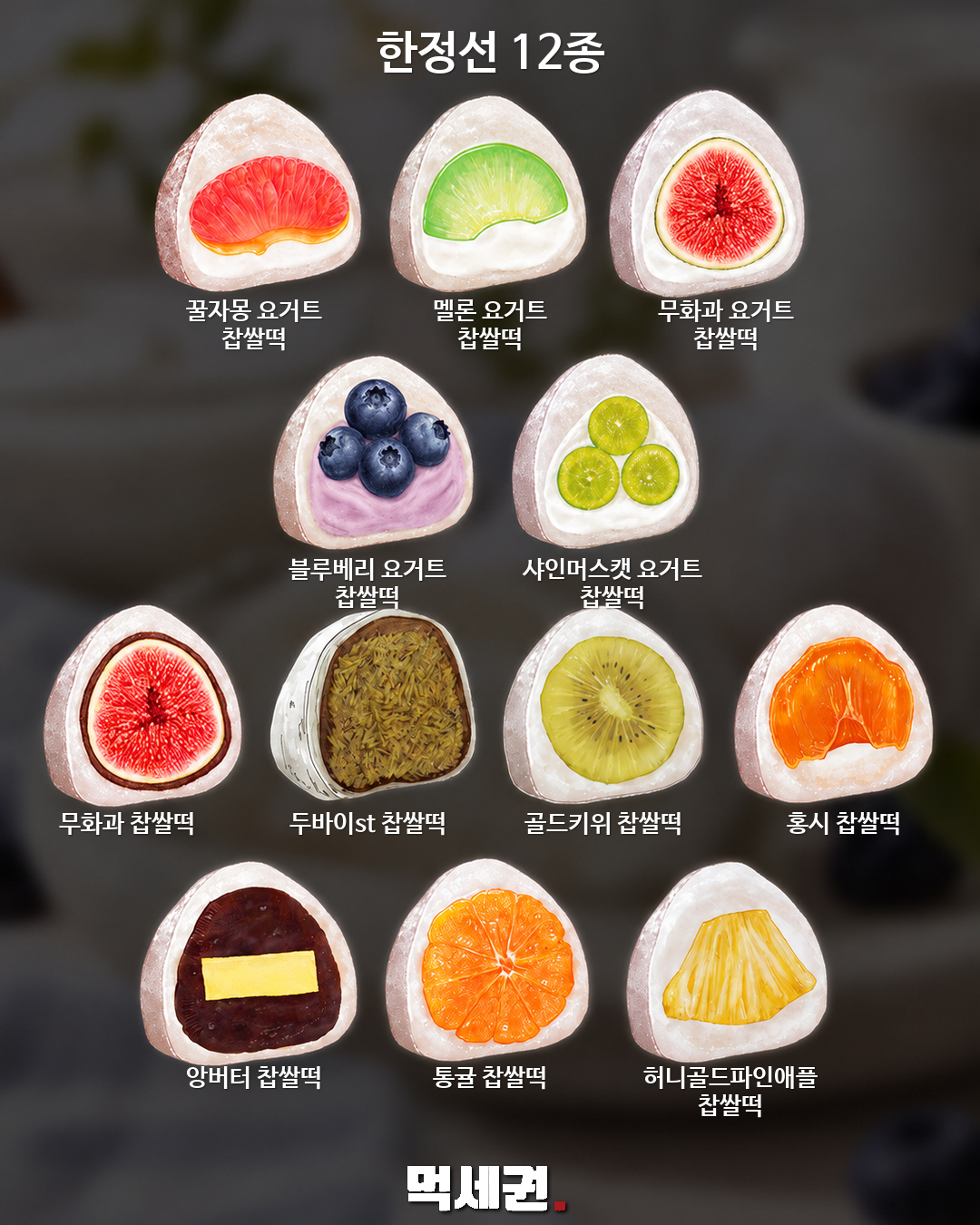 한정선 과일·요거트 찹쌀떡 12종 모음