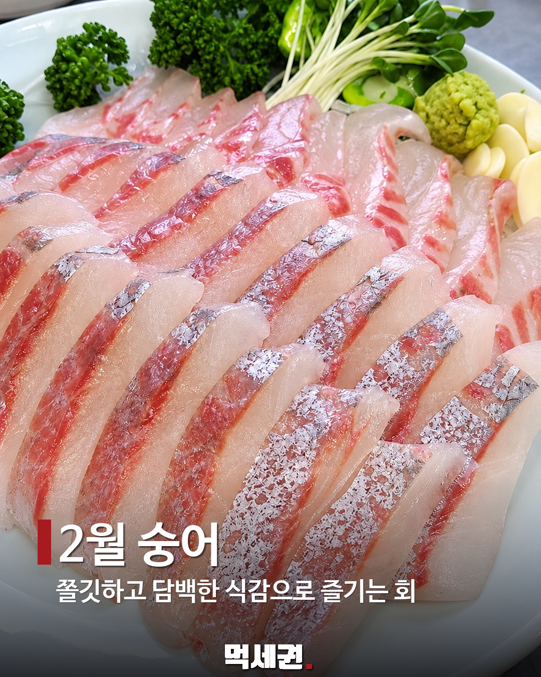 2월 숭어