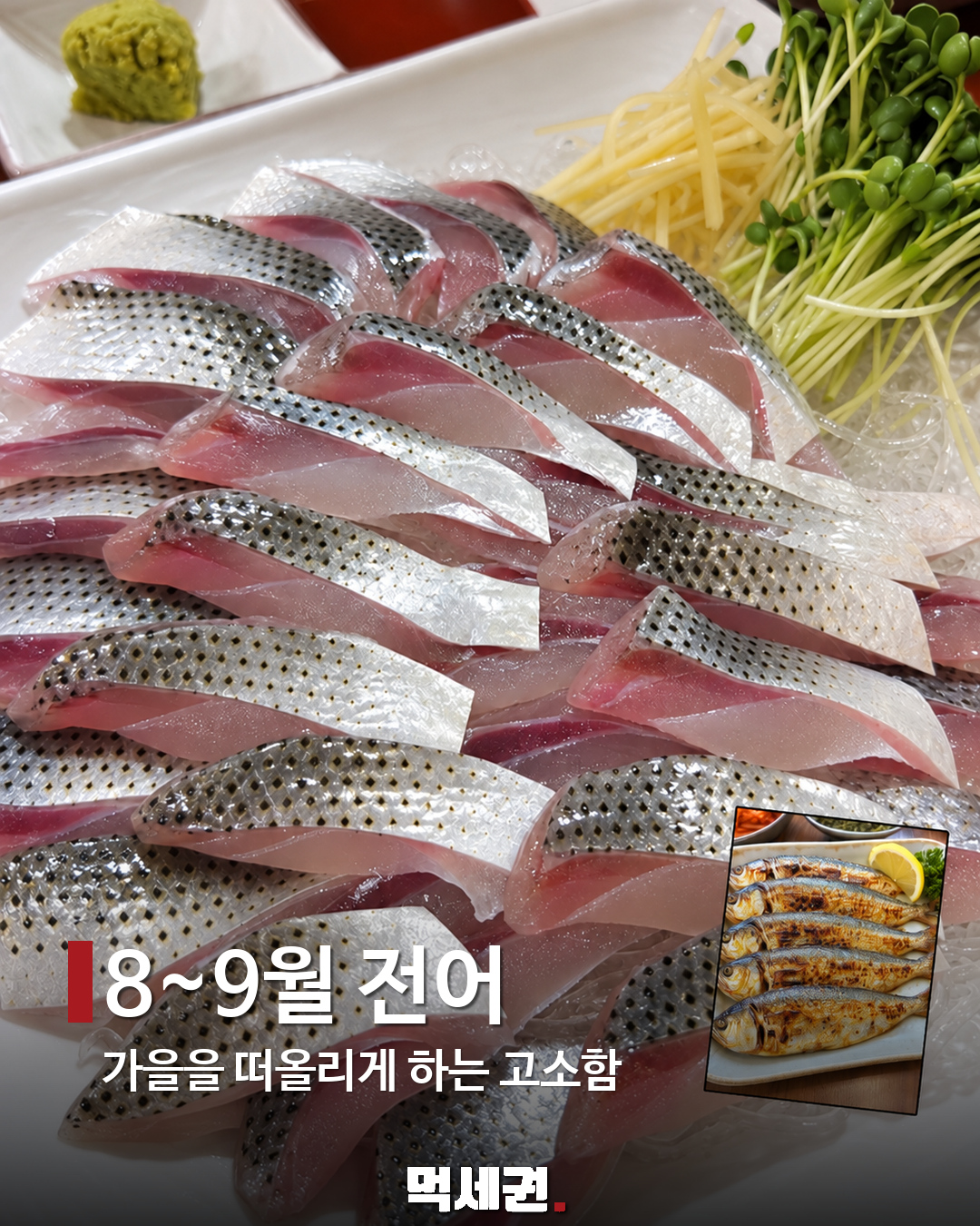 8~9월 전어