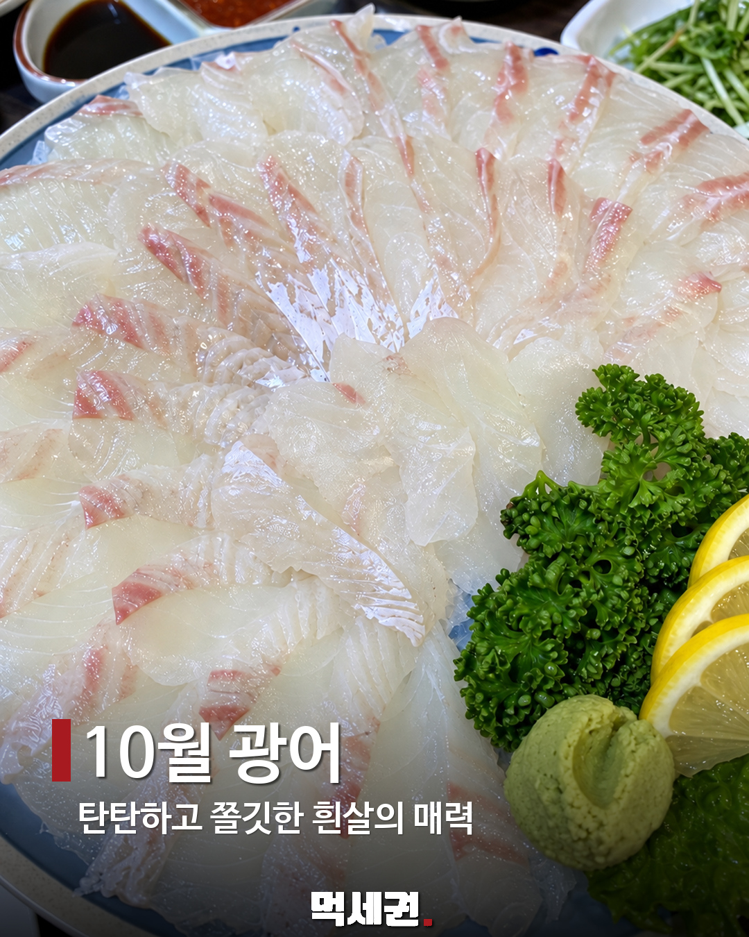 10월 광어