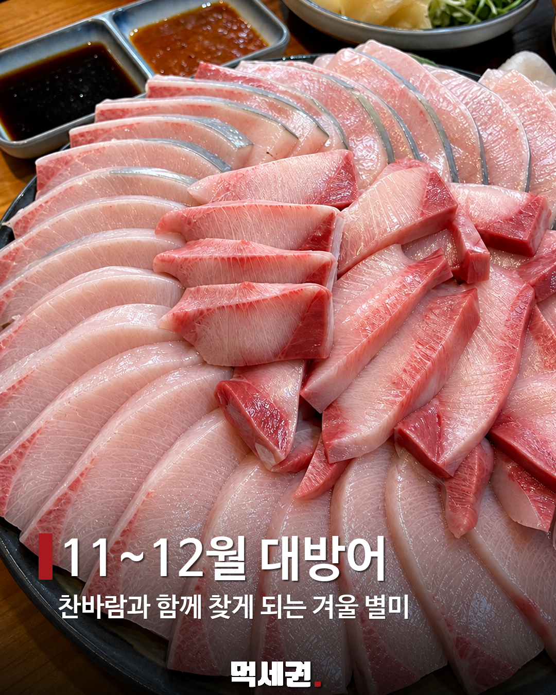 11~12월 대방어