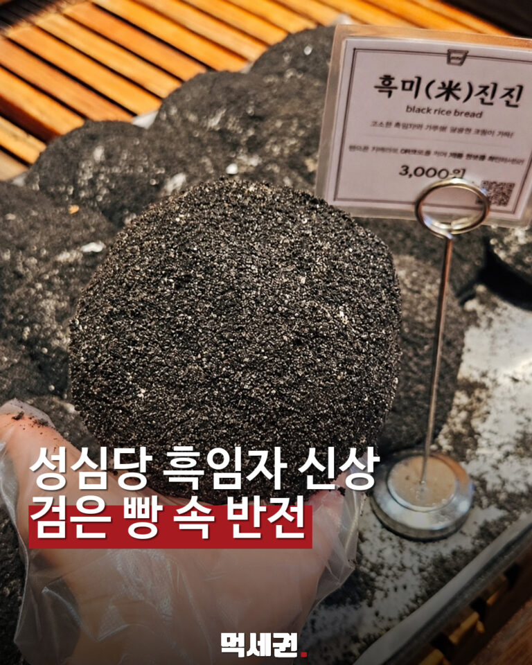 성심당 DCC점 흑미진진