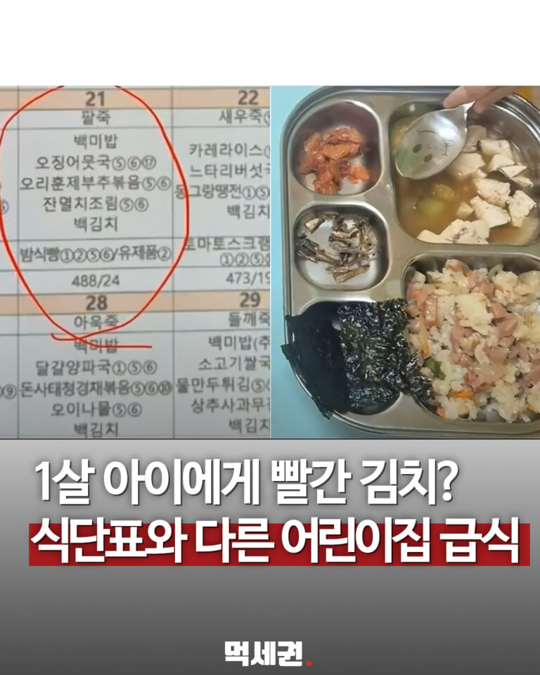 “식단표엔 훈제오리, 사진엔 볶음밥”…어린이집 급식 사연 대표 이미지
