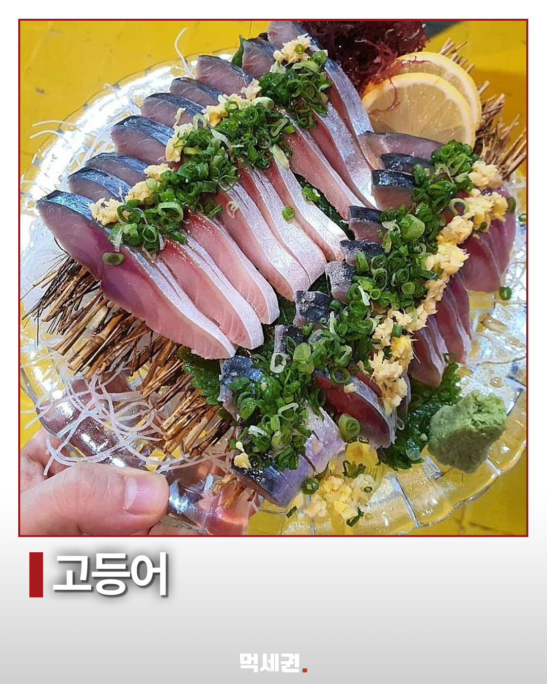 11월 앞두고 살펴볼 해산물 11종…방어부터 낙지까지 4 11월 앞두고 살펴볼 해산물 11종…방어부터 낙지까지 제품·관련 사진 3