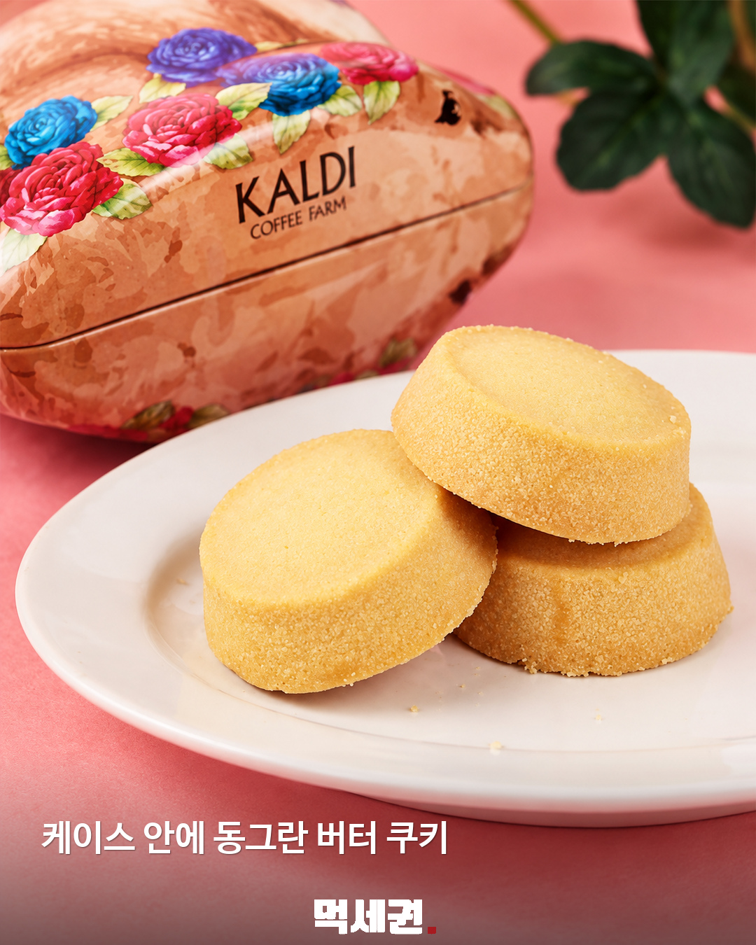 쿠키 먹고 케이스는 소장…칼디 토끼 틴 쿠키 제품·관련 사진 2