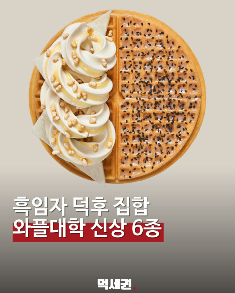 와플대학 흑깨대공 6종 표지