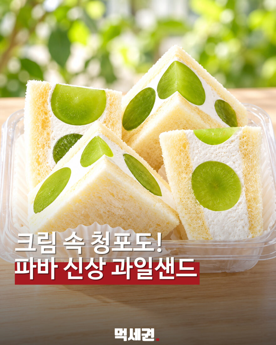 파리바게뜨 신상 샤인머스캣 샌드 표지