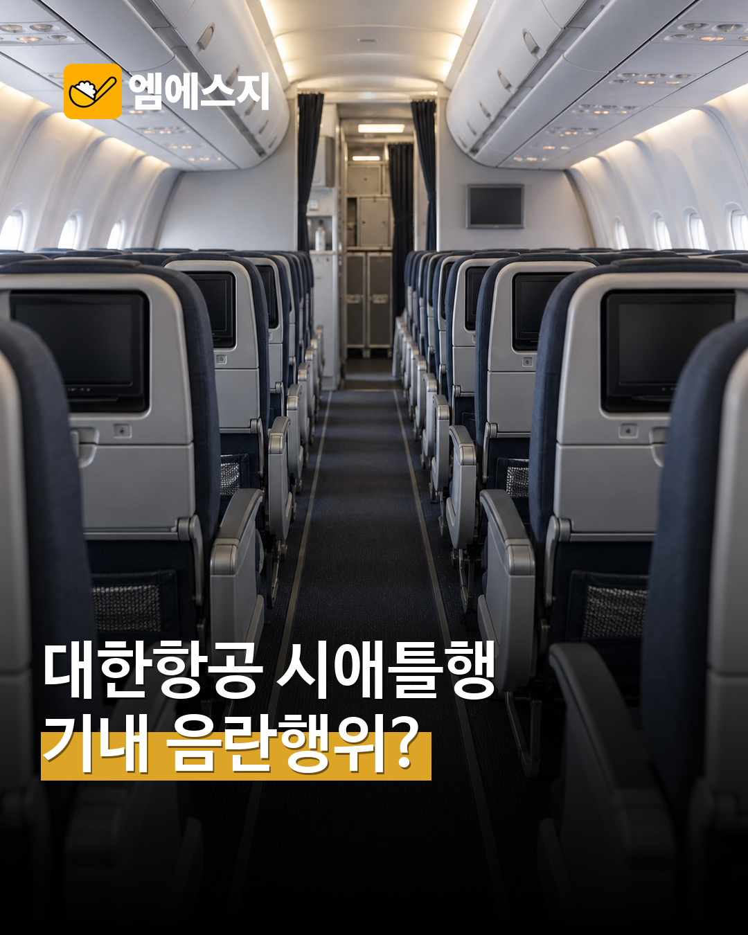대한항공 시애틀행 기내 음란행위 소식 확산…현지 경찰 인계 전해져 MSG뉴스 표지