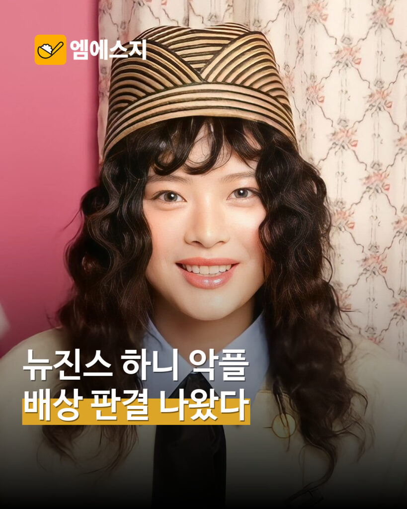 뉴진스 하니 악플 손배소 일부 승소…작성자 2명에 각 10만원 배상 판결 보도 MSG뉴스 표지