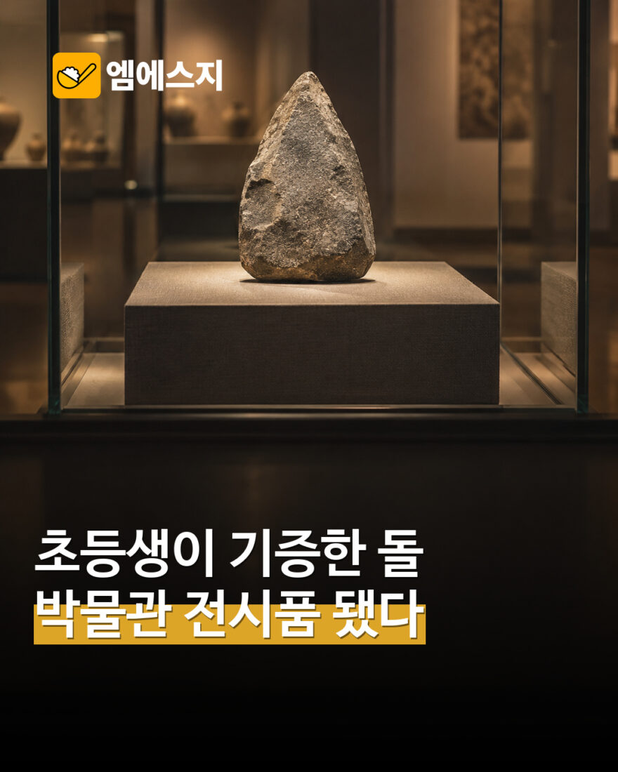 “그냥 돌이라도 괜찮아요” 초등생 기증품 전시한 고성박물관 이야기 재조명 MSG뉴스 표지