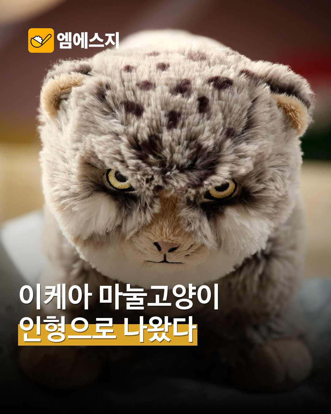 이케아 ALPTALL 마눌고양이 인형 MSG뉴스 표지