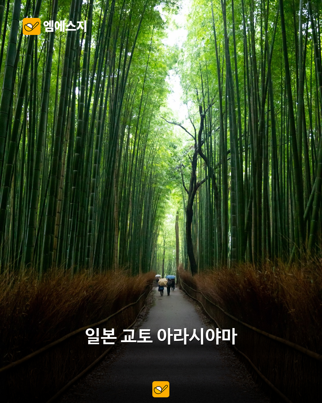 비가 와도 분위기 살아나는 해외 여행지 8곳…교토부터 블루라군까지 관련 사진 1