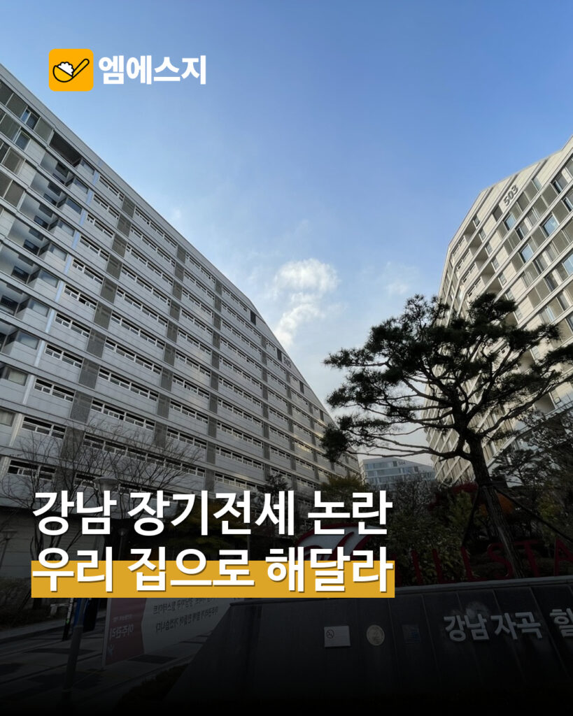 “우리 집으로 해달라” 강남 자곡 장기전세 분양전환 요구…호소문 공유 MSG뉴스 표지