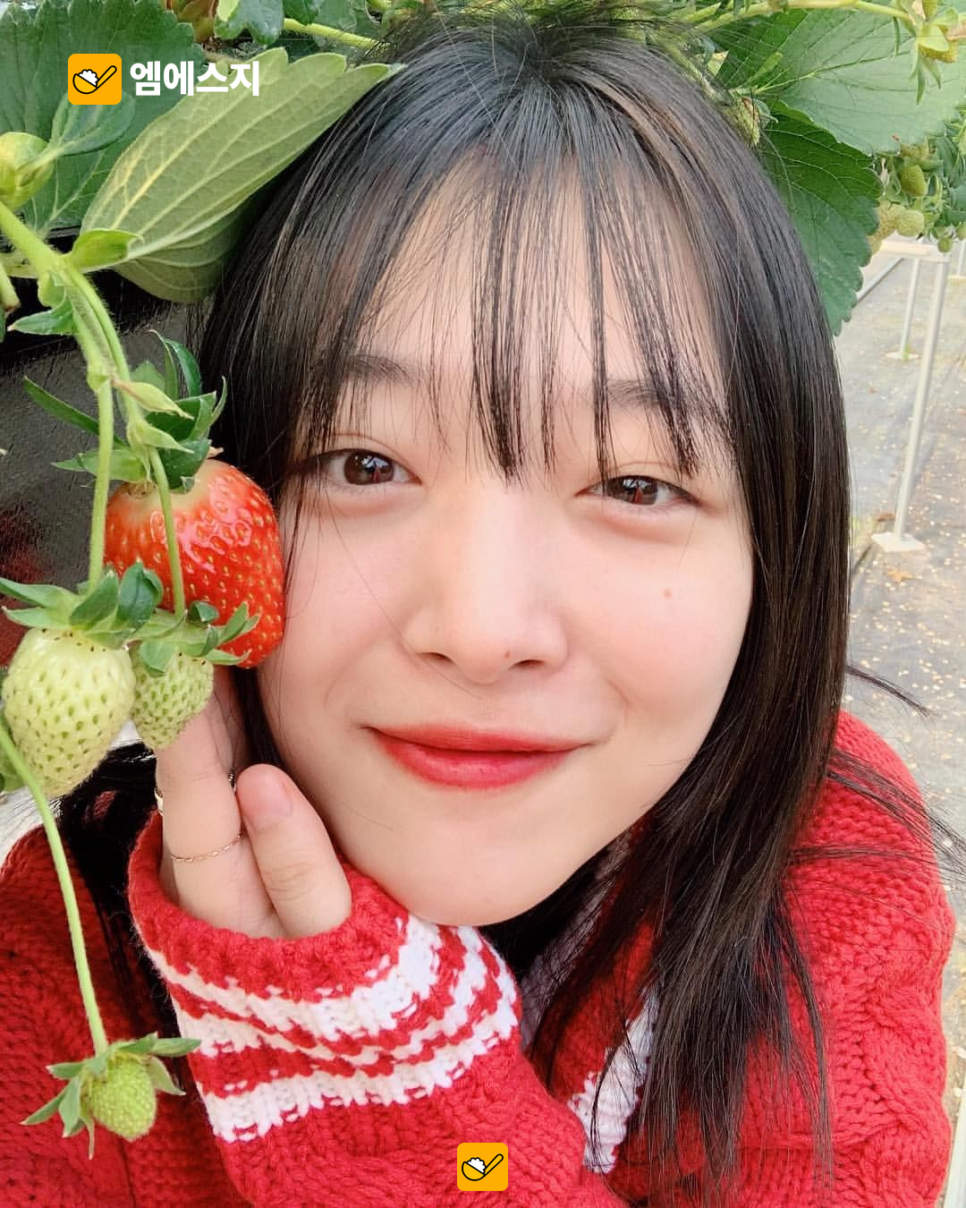 설리 떠난 지 7년…10월 14일, 여전히 이어지는 기억과 추모 본문 2
