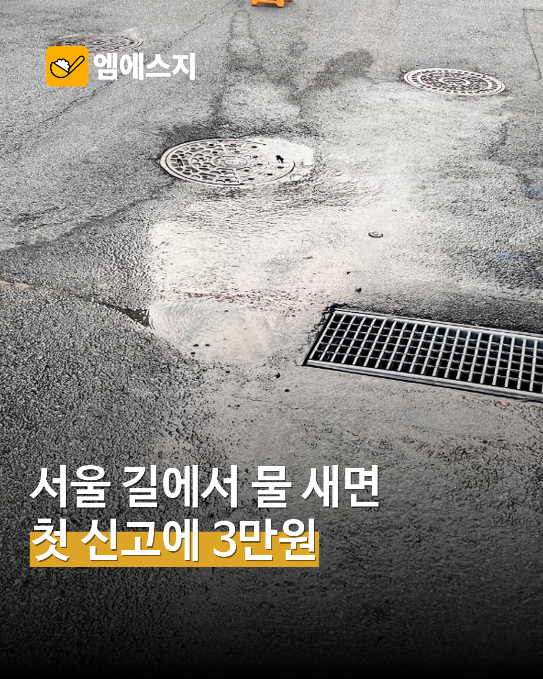 서울 길에서 상수도 물 새면? 최초 누수 신고 인정 시 3만원 상품권 MSG뉴스 표지