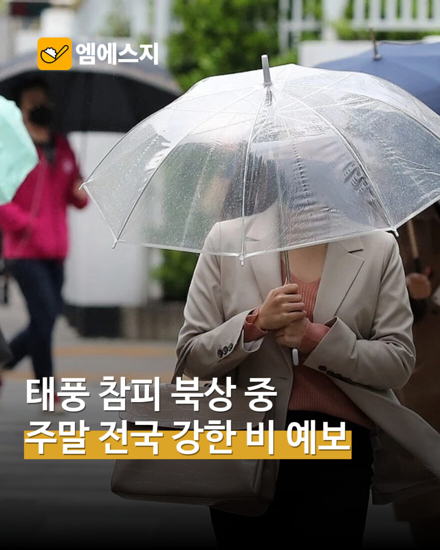 태풍 참피 북상과 주말 강한 비 예보…한반도 직접 영향은 구분해야 표지