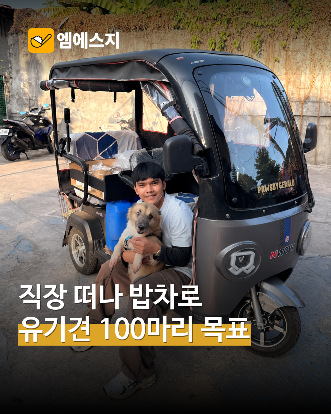 퇴사 뒤 삼륜차에 사료 싣고…필리핀 청년의 유기동물 무료 밥차 표지