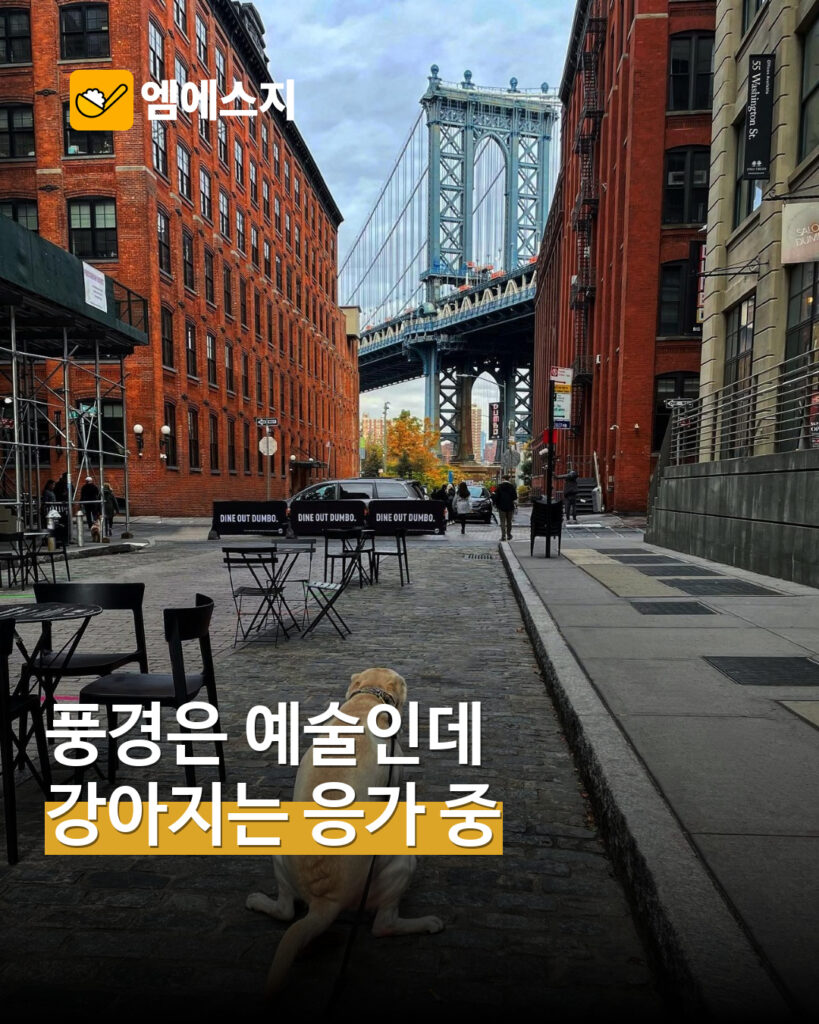 멋진 풍경 속 배변하는 강아지 표지