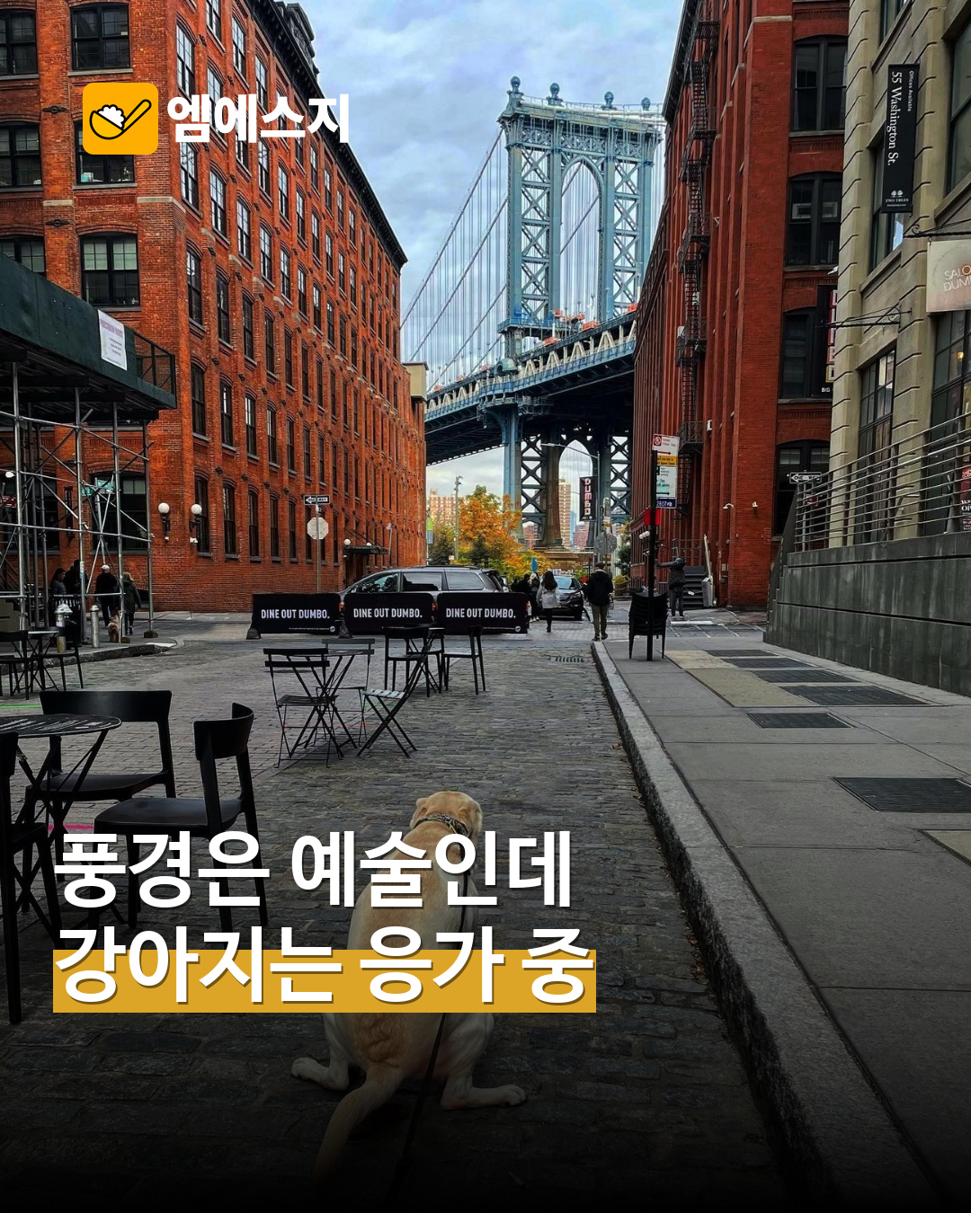 멋진 풍경 속 배변하는 강아지 표지