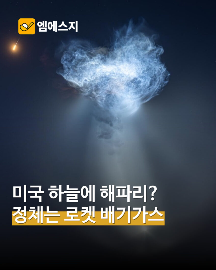미국 하늘 우주 해파리 현상 표지