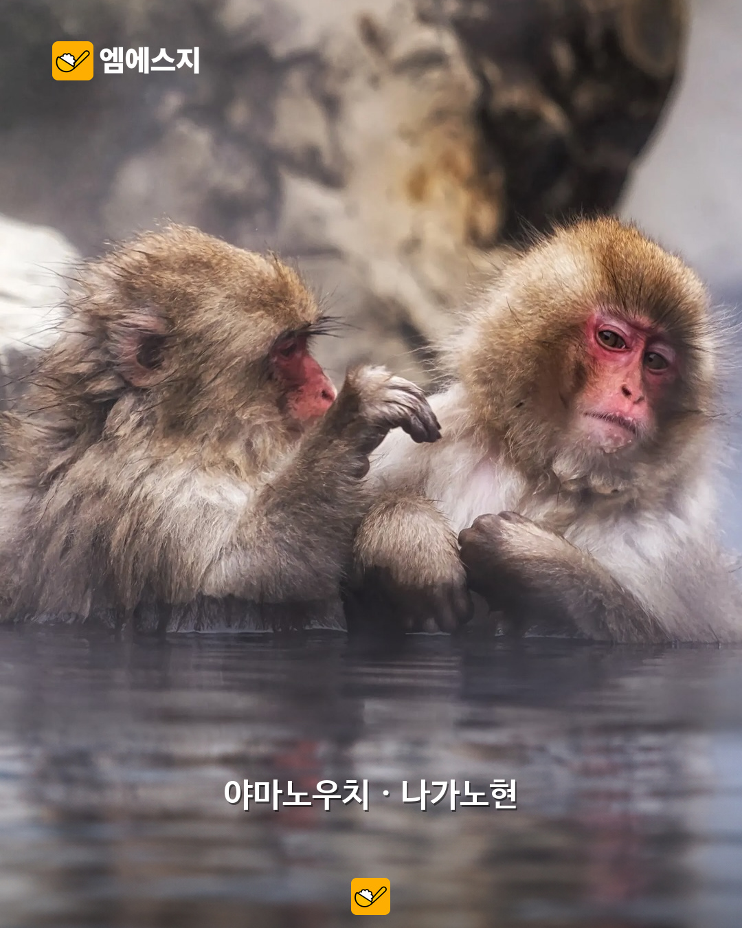삿포로만 갈 거야? 시라카와고부터 긴잔 온천까지 일본 겨울 여행지 8곳 9 일본 겨울 여행지 8곳 본문 사진 8