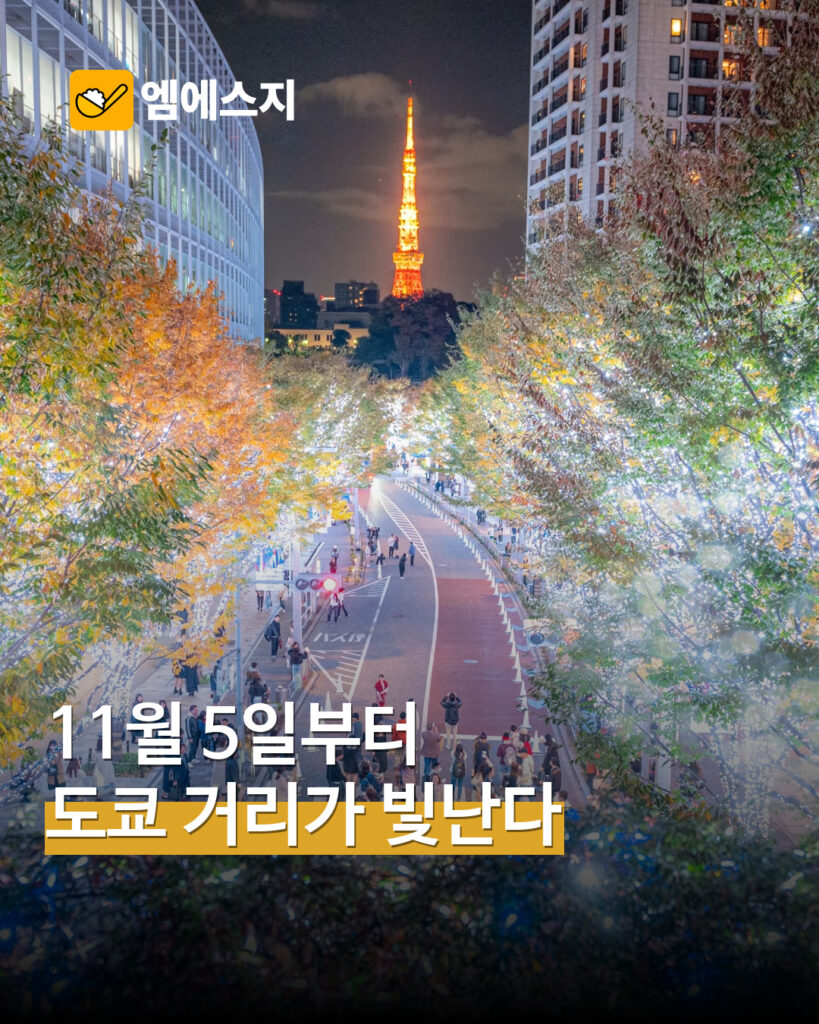 도쿄 케야키자카 겨울 일루미네이션 표지