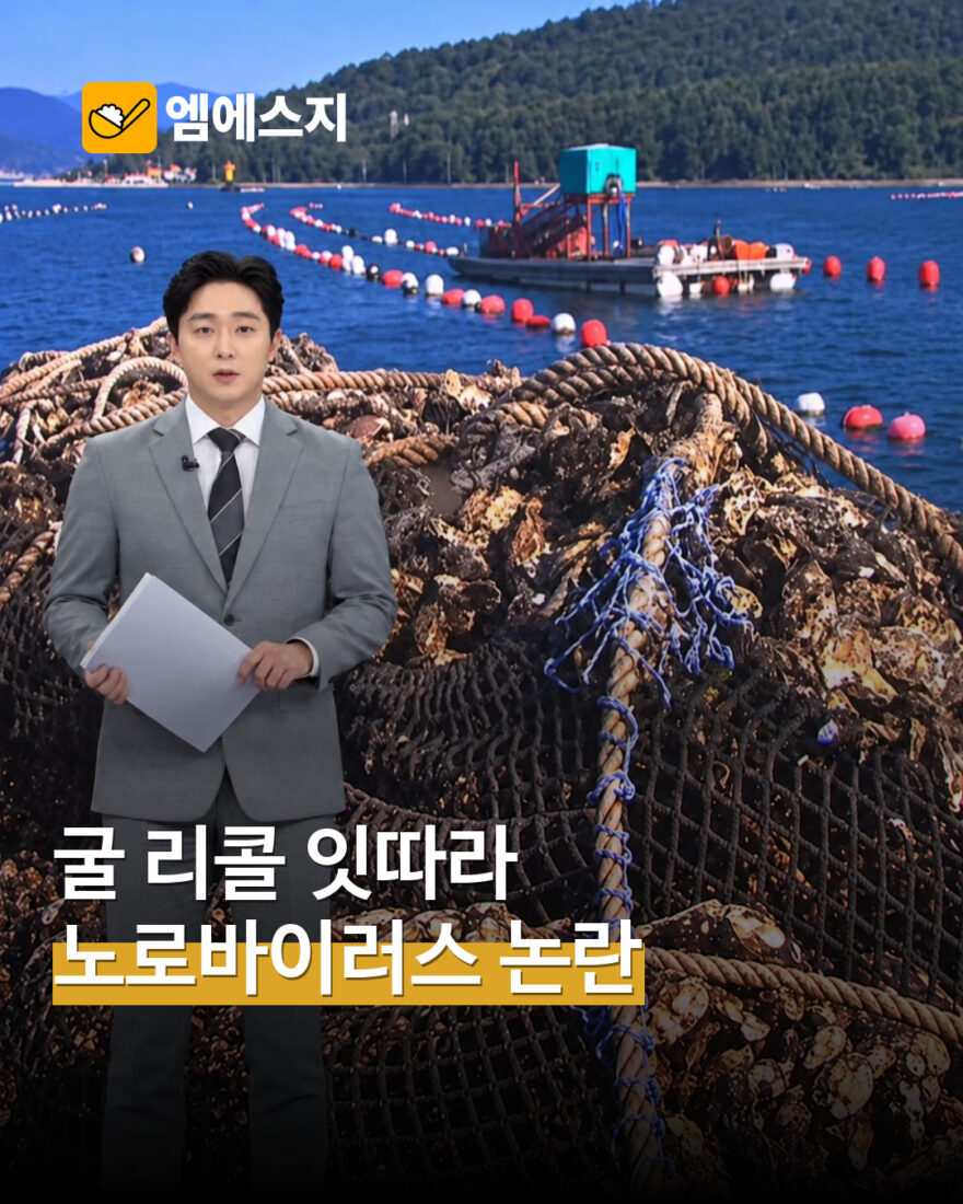 굴 리콜과 노로바이러스 검사 논란 표지