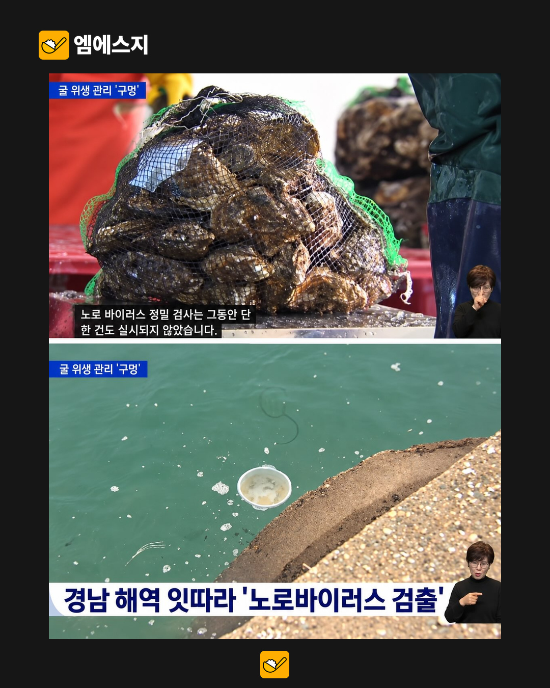 굴 리콜과 노로바이러스 검사 논란 본문 사진 1