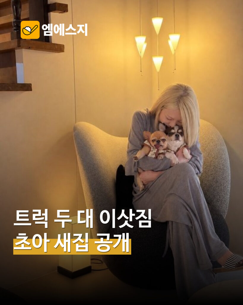 초아, 반려견 두 마리와 새집 이사…“2.5톤 트럭 두 대”