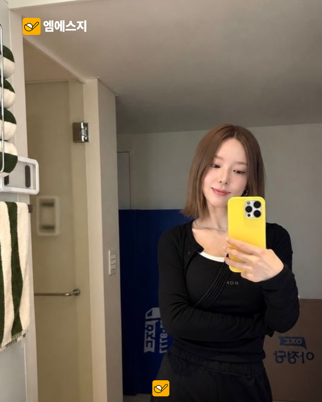 초아, 반려견 두 마리와 새집 이사…“2.5톤 트럭 두 대” 본문 사진