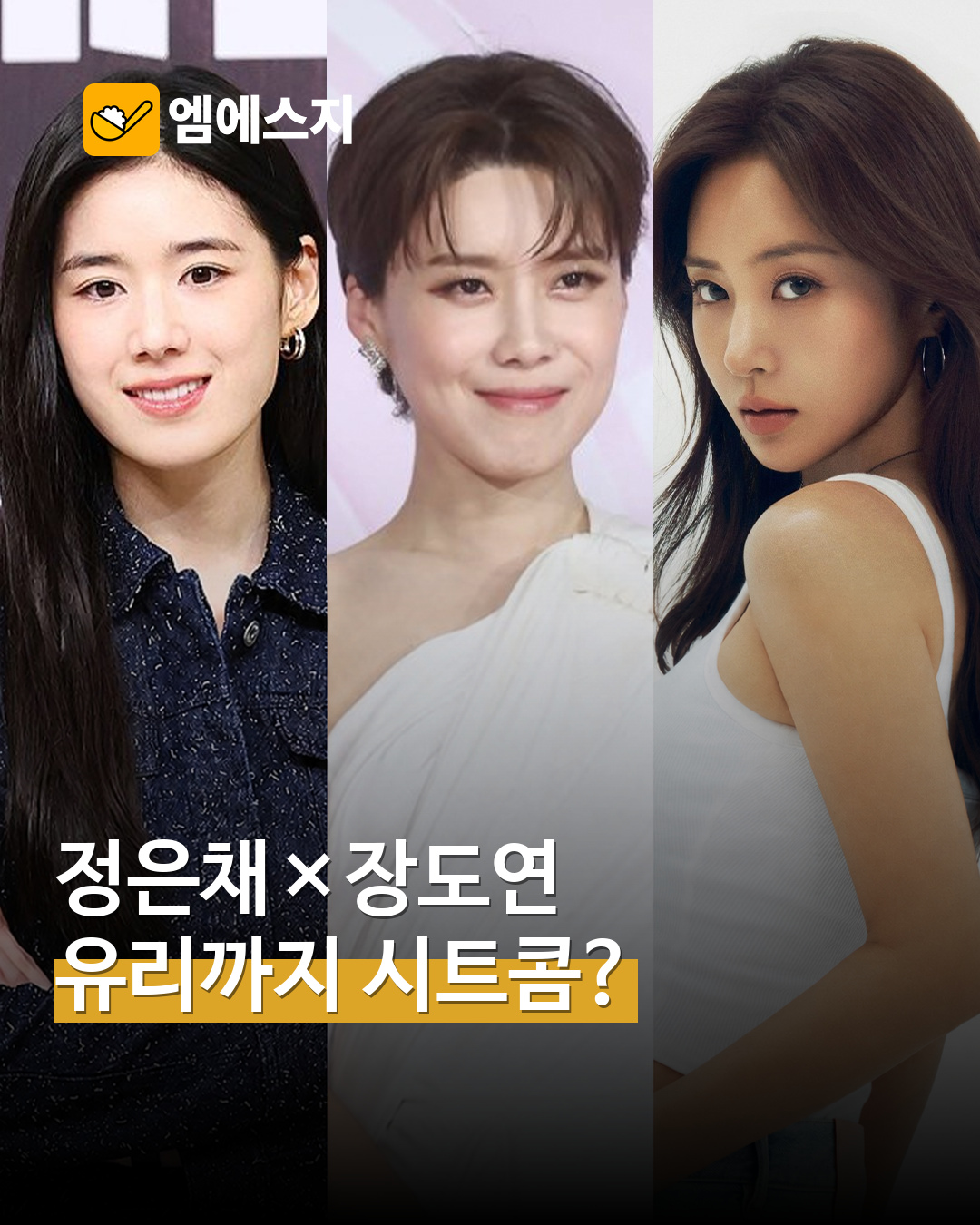 정은채 장도연 유리 시트콤 검토 MSG뉴스 표지