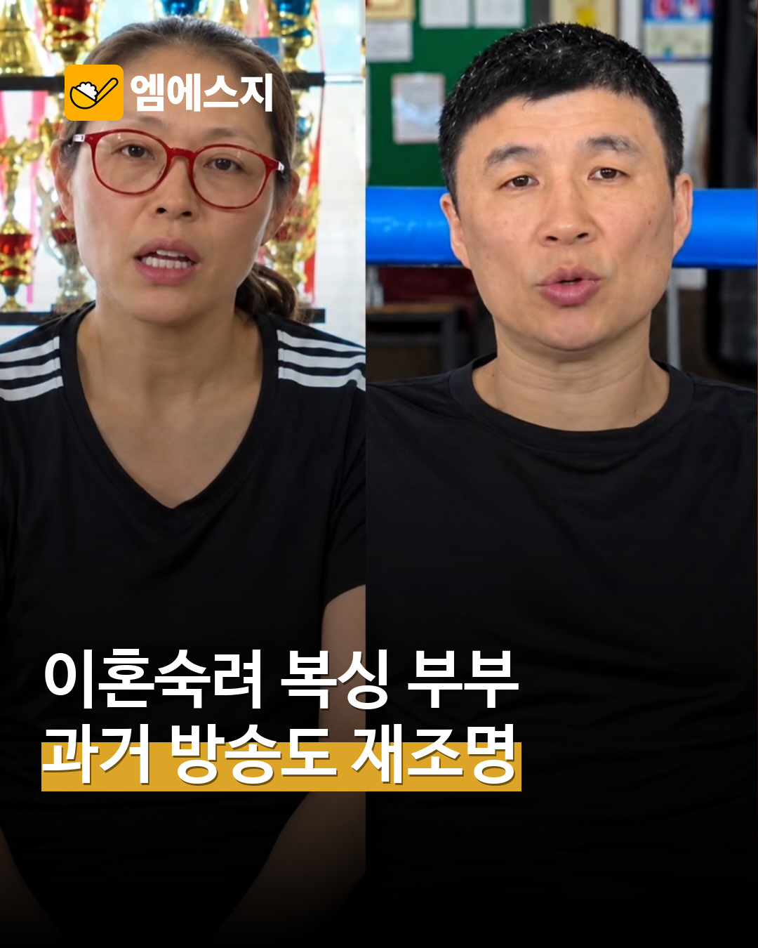 복싱 부부 과거 방송 출연 재조명 MSG뉴스 표지