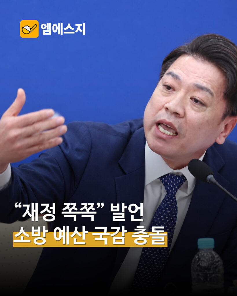 소방 재정 발언 국감 공방 MSG뉴스 표지