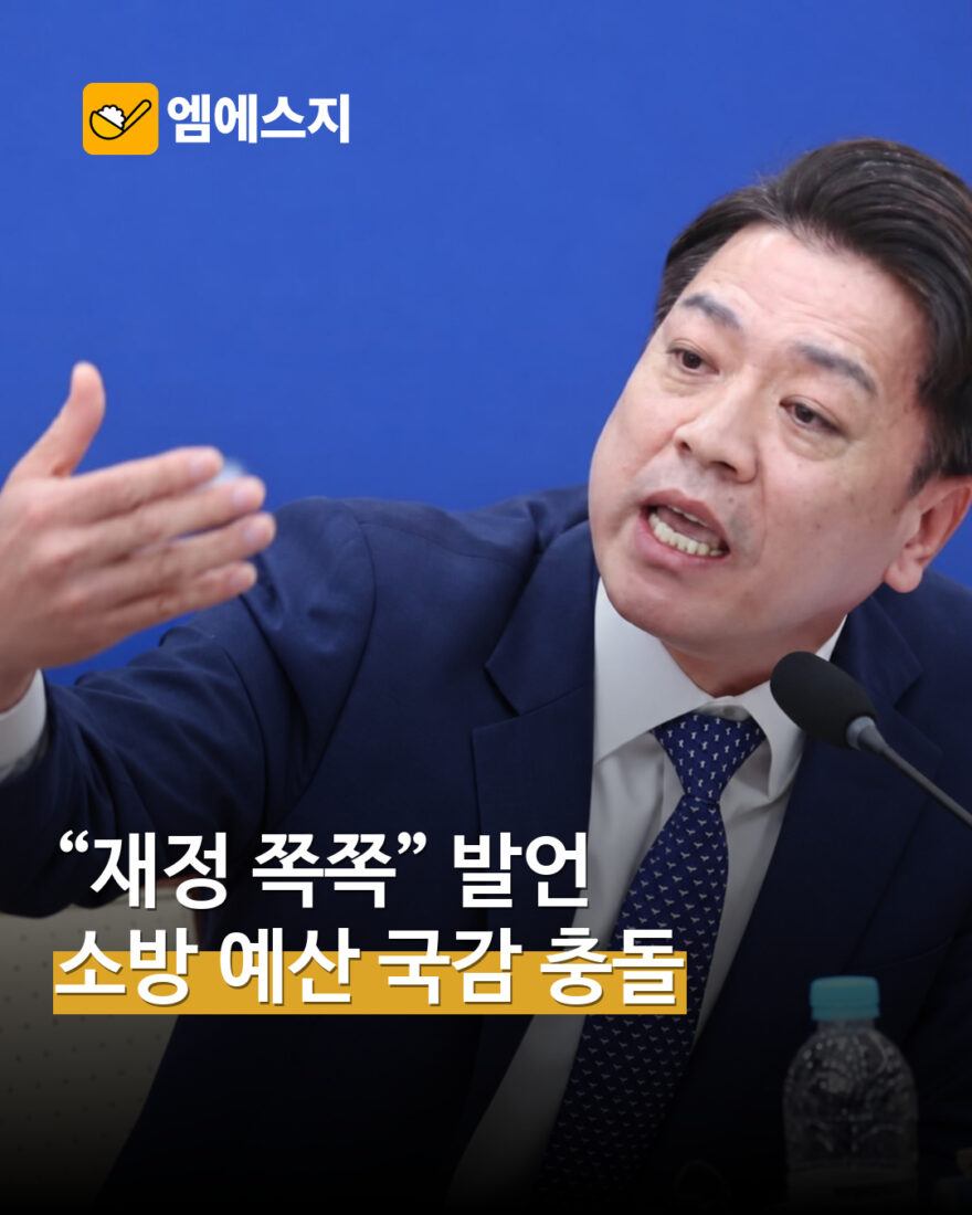 소방 재정 발언 국감 공방 MSG뉴스 표지