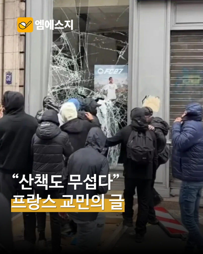 프랑스 교민 매장 피해 경험담 MSG뉴스 표지