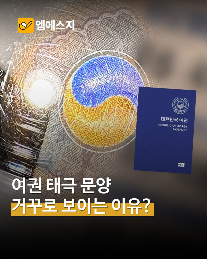 전자여권 태극 문양 오해 MSG뉴스 표지