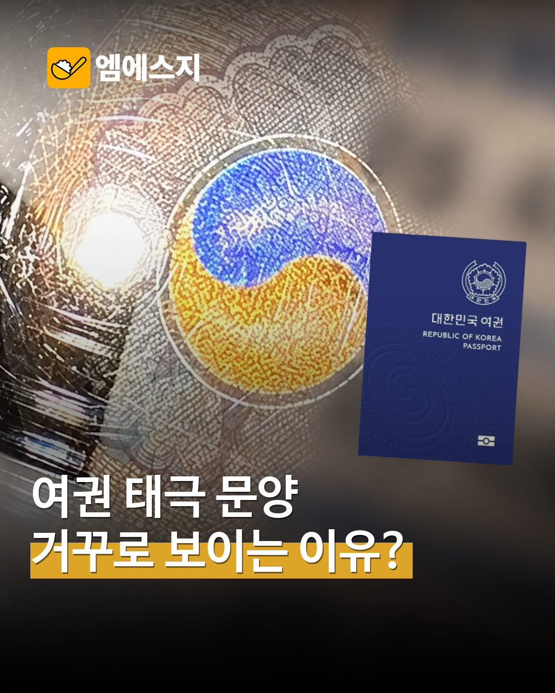 전자여권 태극 문양 오해 MSG뉴스 표지