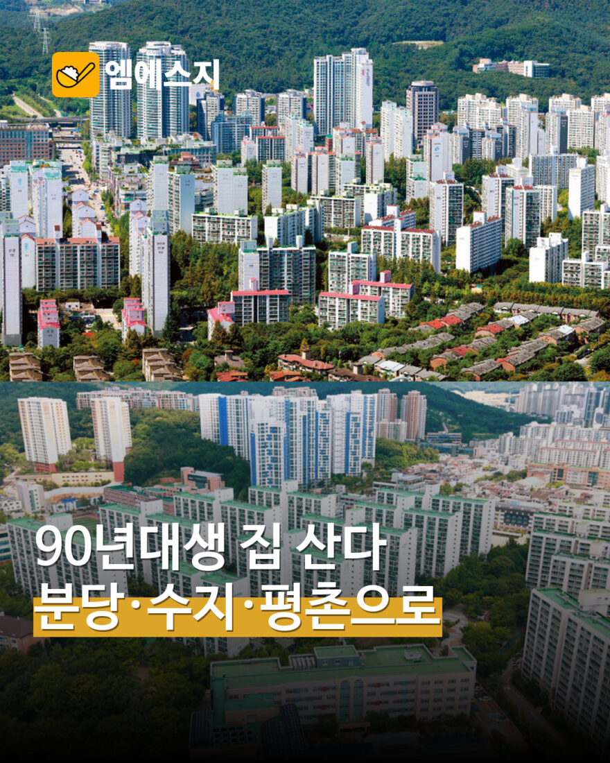 분당 수지 평촌 90년대생 매입 MSG뉴스 표지